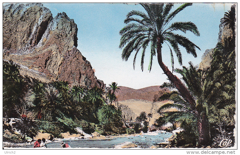 CPSM L'Oued Et Les Gorges - 1957 (5815) - El-Oued