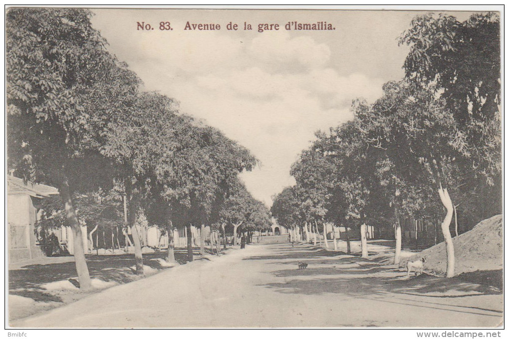 Avenue De La Gare D'Ismaîlia - Ismaïlia