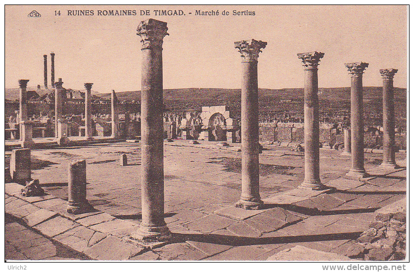 CPA Timgad - Ruines Romaines De Timgad - Marché De Sertius (5831) - Batna