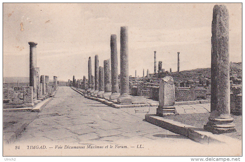 CPA Timgad - Voie Dècumanus Maximus Et Le Forum  (5834) - Batna