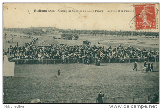 69 RILLIEUX LA PAPE / Le Champ De Courses Du Loup Pendu, La Piste Et La Pelouse / - Rillieux La Pape