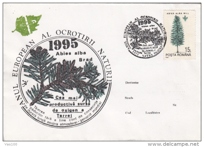 TREES, SPRUCE, SPECIAL COVER, 1995, ROMANIA - Bäume