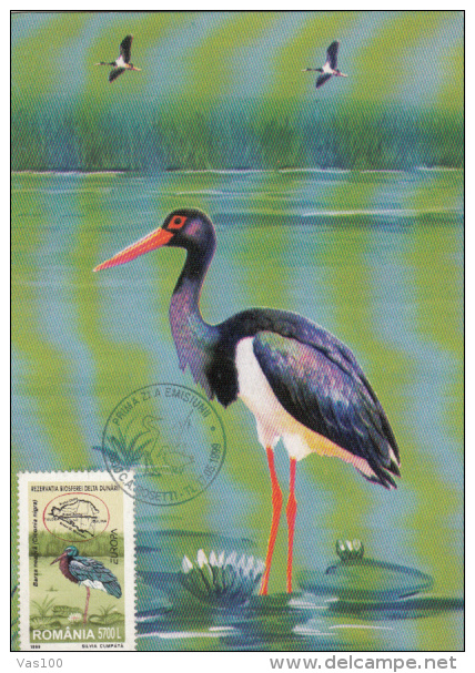 BIRD, BLACK STORK, CM, MAXICARD, CARTES MAXIMUM, OBLIT FDC, 1999, ROMANIA - Picotenazas & Aves Zancudas