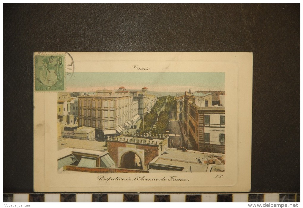 CP, Tunisie, Tunis Perspective De L'Avenue De France  1910 Edition LL Carte Gauffrée - Tunisie