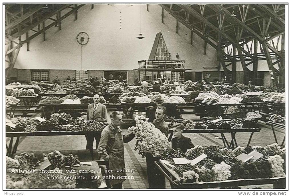 CPSM Hollande - Aalsmeer - Fleurs Coupées - Intérieur D'une Salle Des Ventes - Aalsmeer