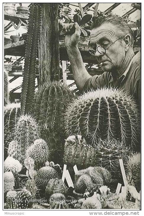 CPSM Hollande - Aalsmeer - L'Homme Au Cactus - Aalsmeer