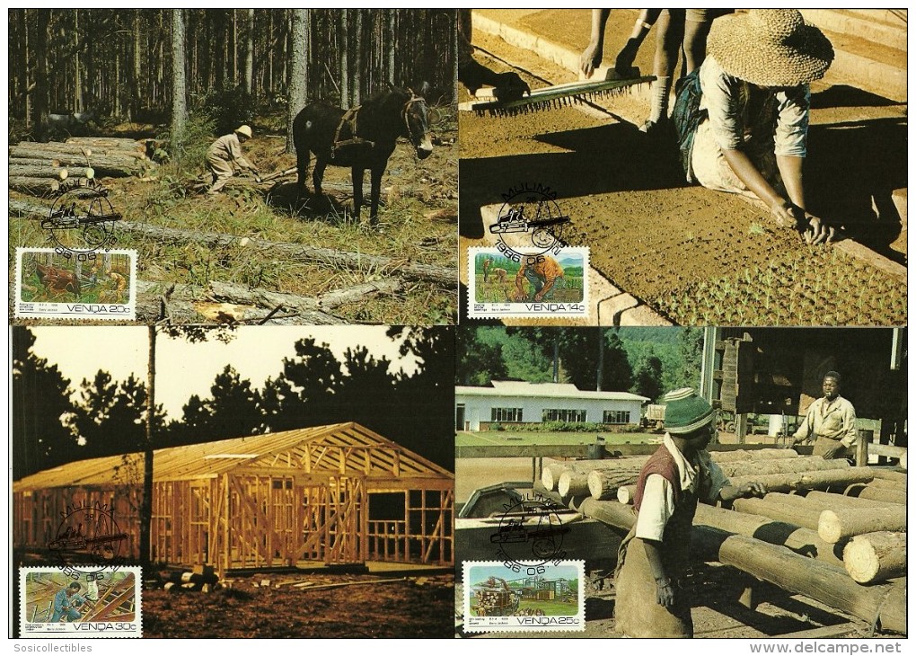 South Africa / Venda - 1986 Forestry Maximum Cards - Full Set Of 4 - Bauernhöfe