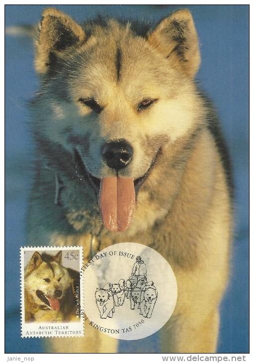 Australian Antarctic Territory 1994 Last Huskies, 45c Husky - Maximumkarten