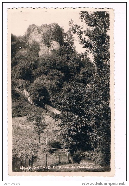21570 ( 2 Scans ) Montaigle Ruines Du Chateau - Onhaye