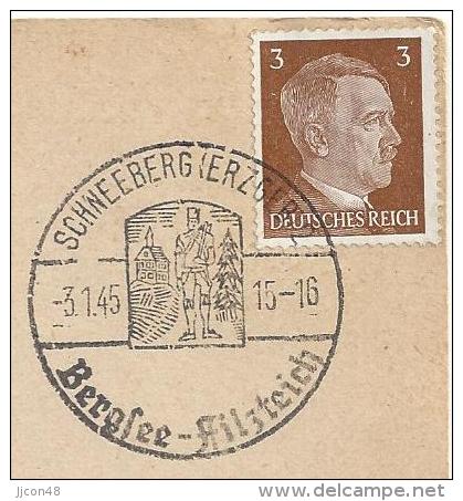 Germany  1945  Hitlerkopf Mi.782  (Schneeberg (Erzgeb) 3.1.45) - Briefe U. Dokumente