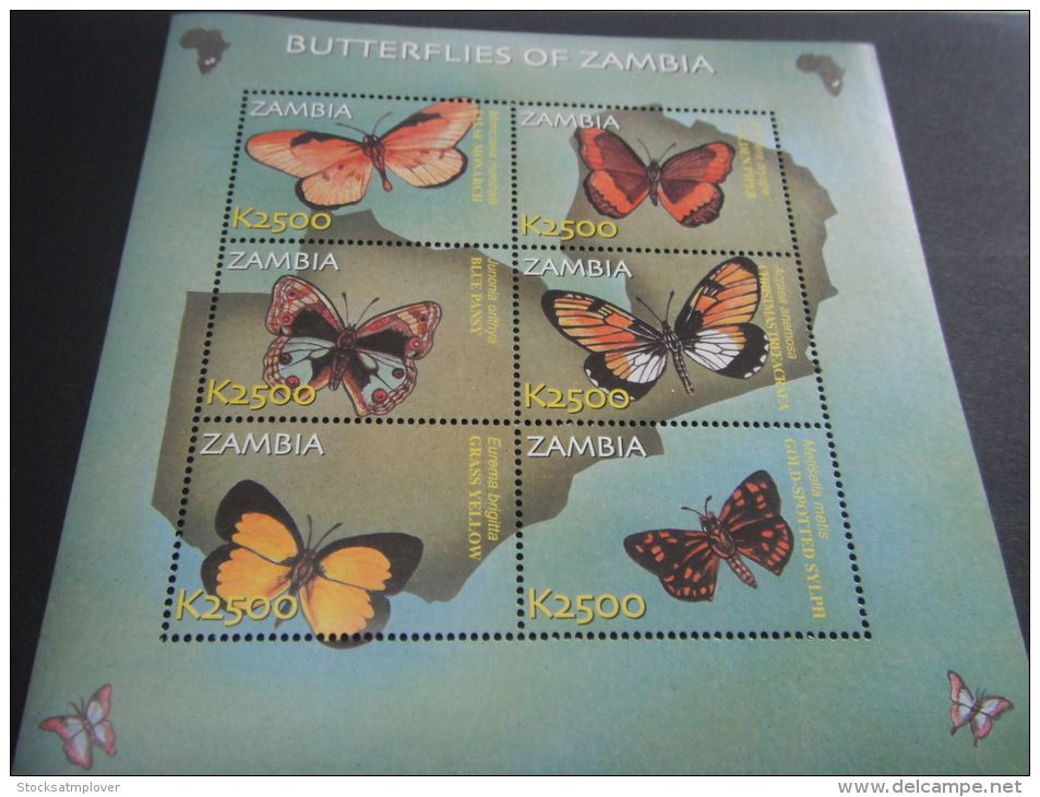 Zambia-Butterflies - Butterflies