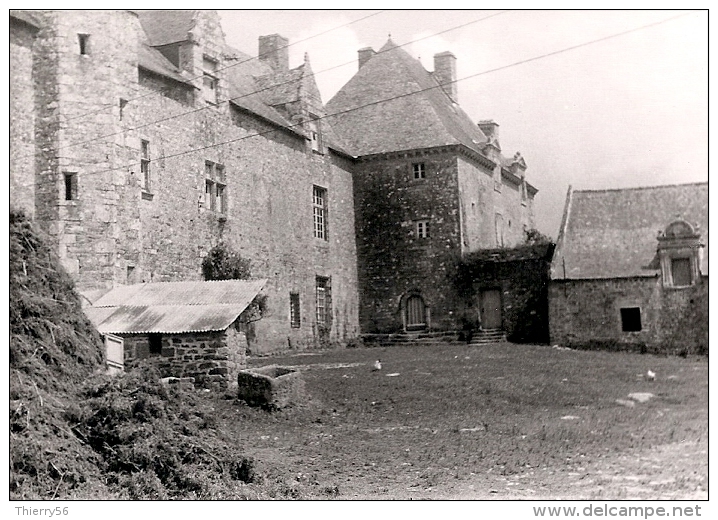 Chateau Plessis Josso Vers 1960 - Theix - Autres & Non Classés