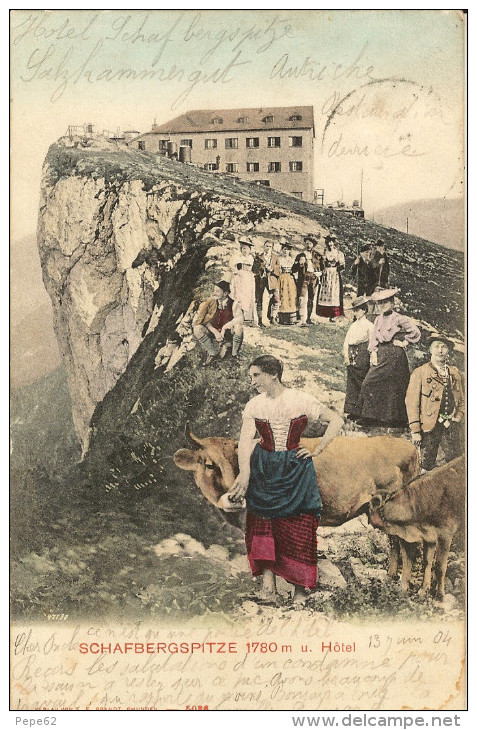 Schafbergspitze Hotel -animée-personnages-animaux-cpa - St. Wolfgang