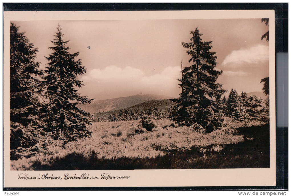 Altenau - Torfhaus - Brockenblick Vom Torfhausmoor - Altenau