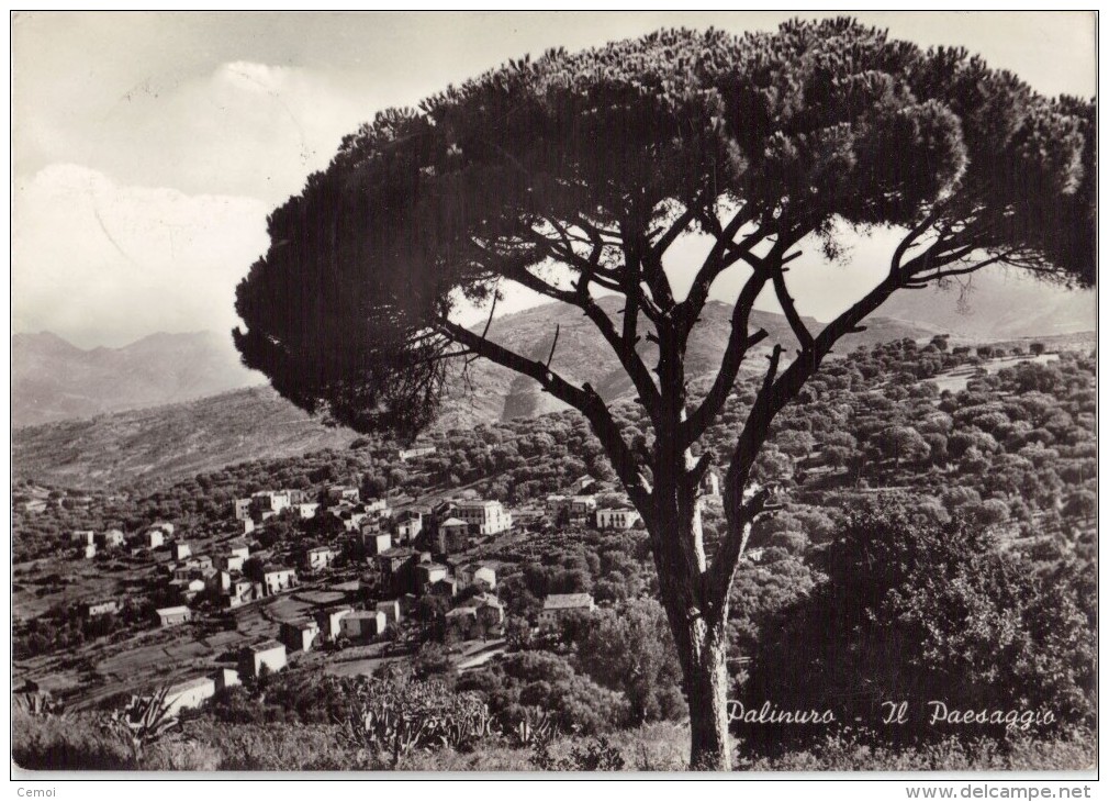 CPSM - PALINURO - Il Paesaggio - Salerno