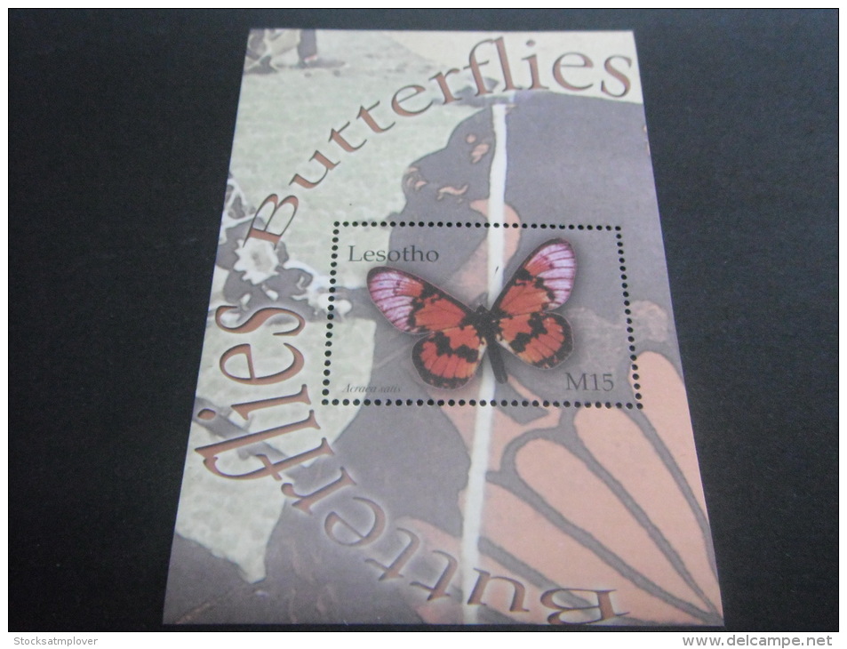 Lesotho-Butterflies - Schmetterlinge