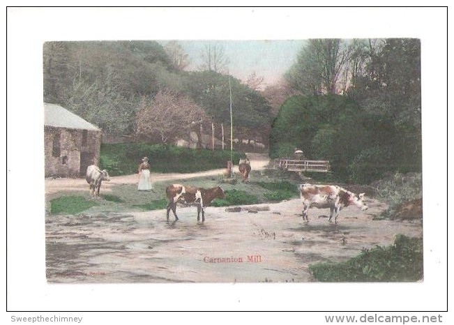 CARNANTON MILL LAURIES MILL NR NEWQUAY ST COLOMB CARNANTON WOODS  COWSGRAZING CORNWALL - Otros & Sin Clasificación