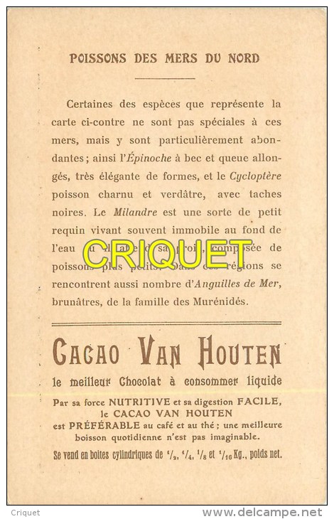 Chromo  Van Houten, Format Cpa, Poissons Des Mers Du Nord, Scan Recto Verso - Van Houten