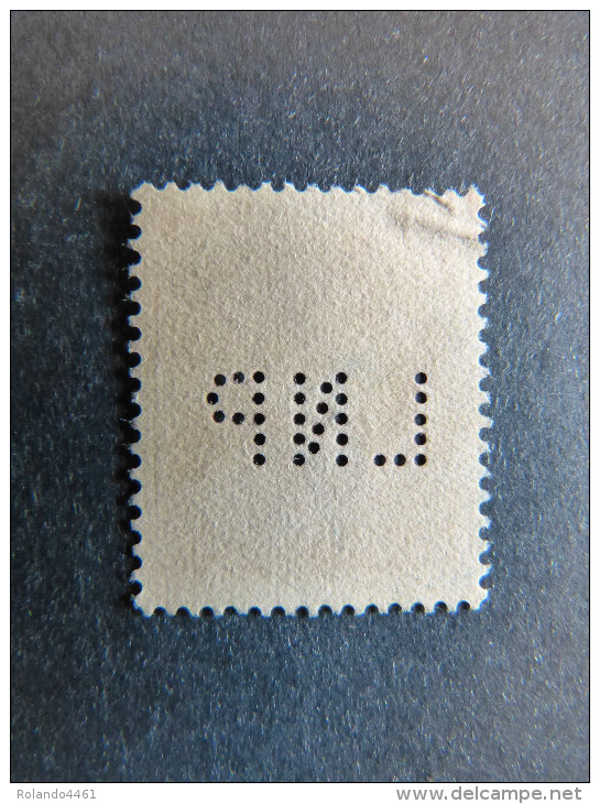 FRANCE L N° 306 Célébrité 1934 LNP 107 Indice 2 Perforé Perforés Perfins Perfin Superbe - Autres & Non Classés