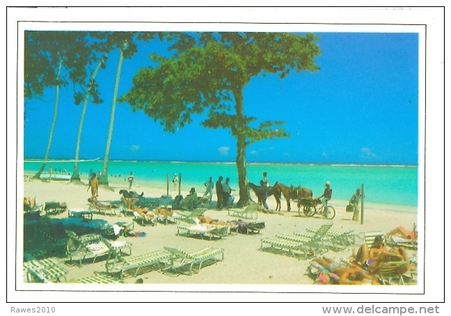 AK Dominikanische Republik 1997 Boca Chica Strand Meer Pferde - Dominicaine (République)