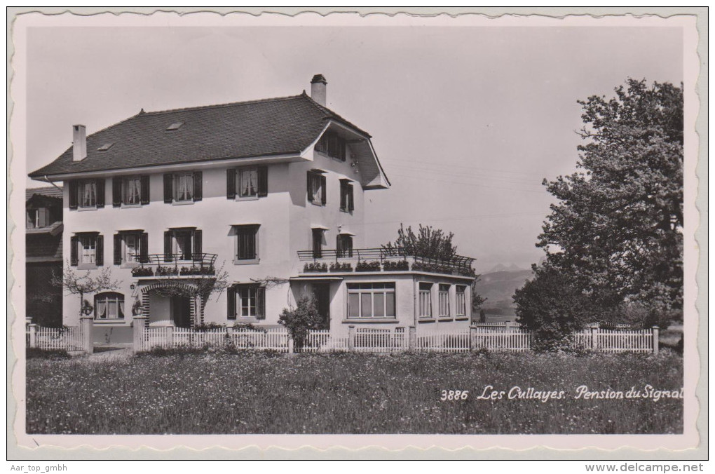 VD LES CULLAYES 1953-IX-19 Les Cullayes Pension Du Signal Photo Perrochet - Les Cullayes