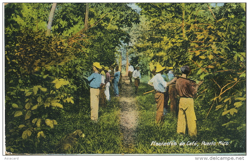 Plantacion De Café Puerto Rico Edicion Gonzales Padin - Puerto Rico