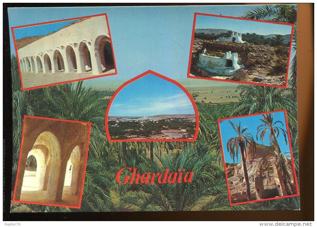 CPM Non écrite Algérie Souvenir De GHARDAÏA  Multi Vues - Ghardaia