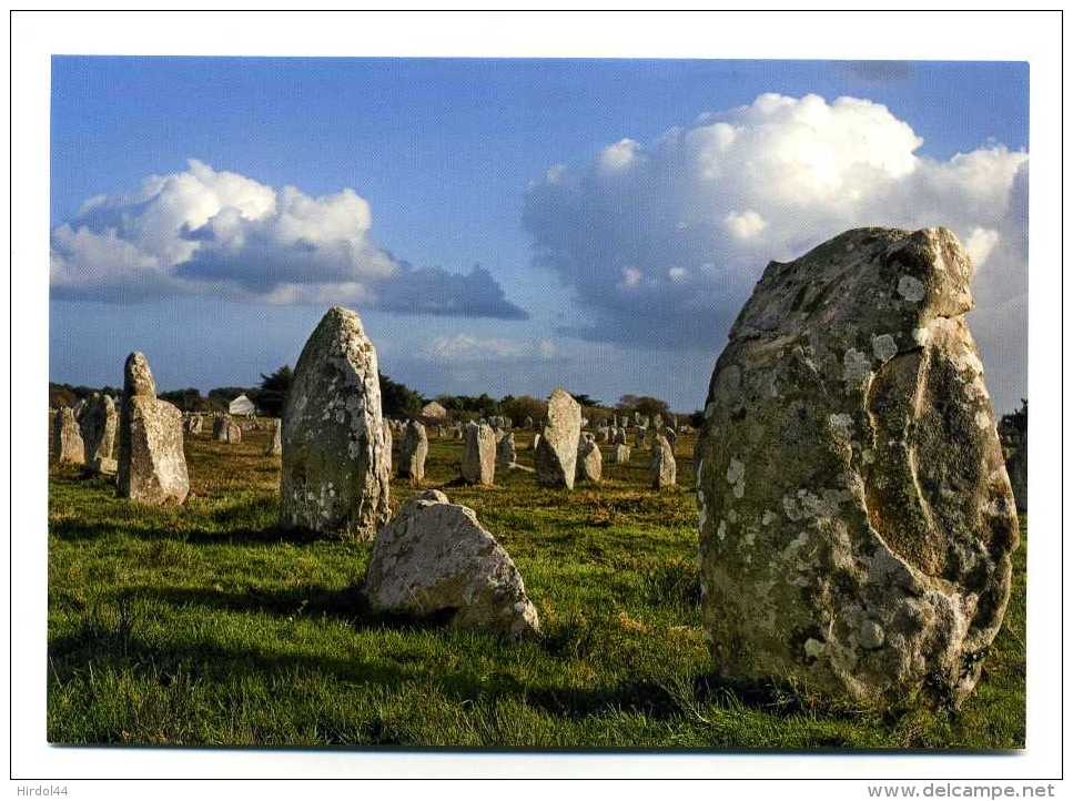 Carnac (56) : Les Alignements - Dolmen & Menhirs