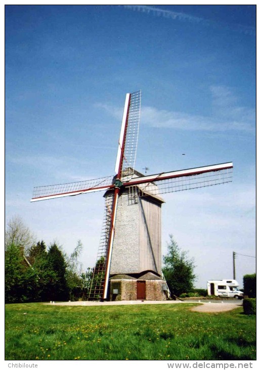 BATIMENTS  /  "  MOULINS A VENT  " STEENVOORDE        / 59     CPM / CPSM  10 X 15 - Windmills