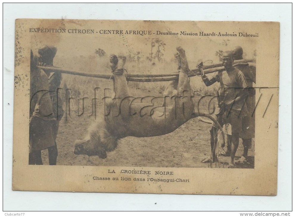 Oubangui-Chari (République Centrafricaine): GP D'un Retour De Chasse Au Lion Film Croisière Noire Env 1930 (animé) PF. - Central African Republic