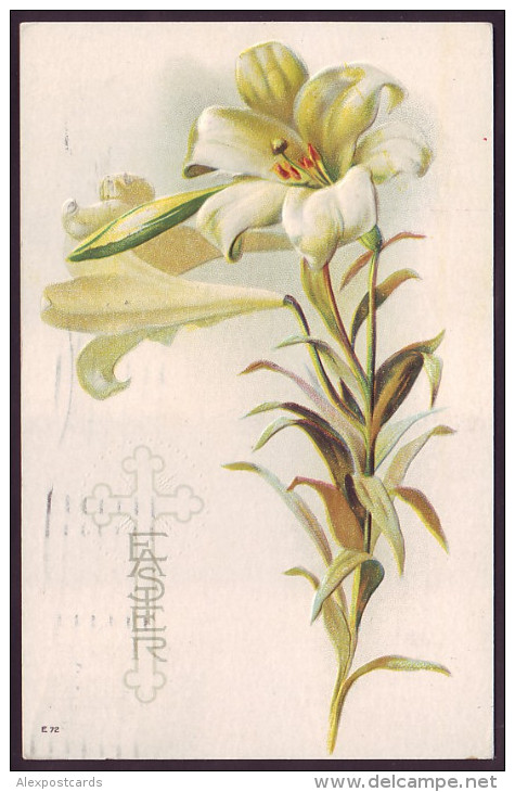 EASTER GREETINGS. LILY FLOWERS. Embossed (Postally Used, PM 1916) - Pasen