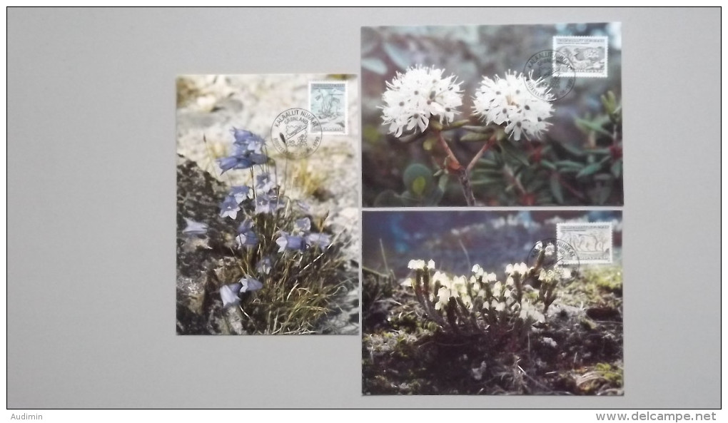 Grönland 205/7 Yt 192/3 Maximumkarte MK/CM, SST BELGICA 1990, Blumen: Glockenblume, Sumpfporst, Zypressenheide - Maximumkaarten