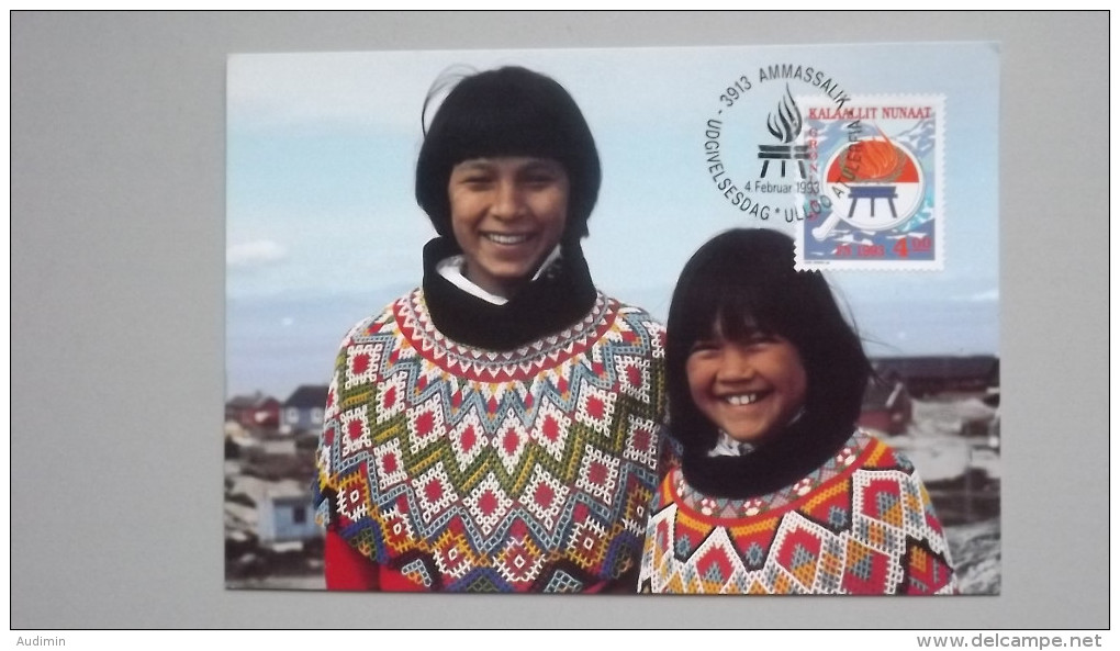 Grönland 230 Yt 218 Maximumkarte MK/CM, ESST, Internationales Jahr Der Ureinwohner - Cartes-Maximum (CM)