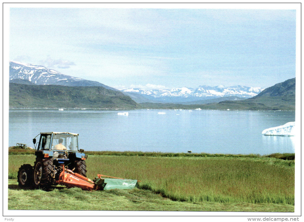CPM - GROENLAND - GREENLAND - RECOLTES EN GROENLAND DU SUD - TRACTEUR - Coul - Ann 2000 - - Groenland