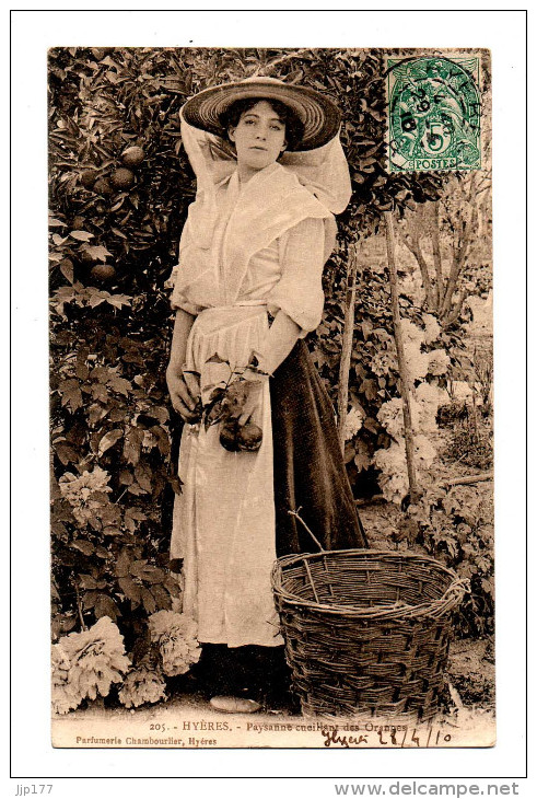 Hyeres Vraie CPA Jeune Femme En Costume Et Chapeau Paysanne A La Cueillette Des Oranges Ecrite En 1910 - Hyeres