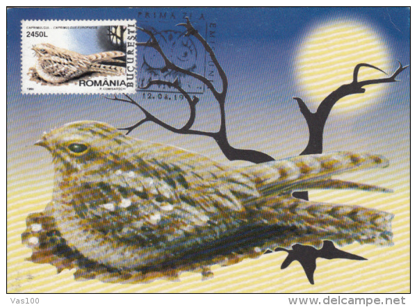 BIRDS, NIGHTJAR, CM, MAXICARD, CARTES MAXIMUM, 1998, ROMANIA - Spechten En Klimvogels