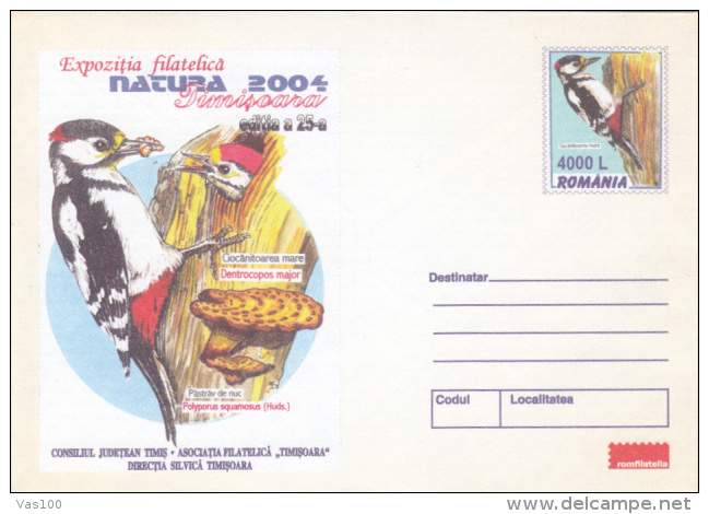 BIRDS, WOODPECKER, MUSHROOM, COVER STATIONERY, ENTIER POSTAL, 2004, ROMANIA - Specht- & Bartvögel