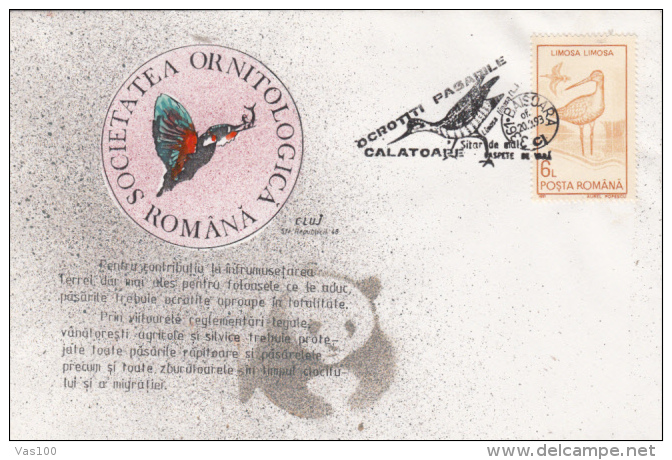 BIRDS, GODWIT, SPECIAL COVER, 1993, ROMANIA - Cigognes & échassiers