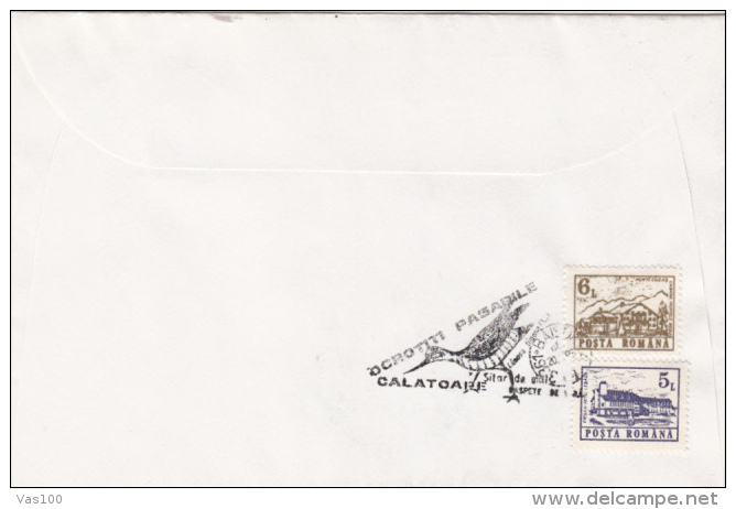 BIRDS, GODWIT, SPECIAL COVER, 1993, ROMANIA - Cigognes & échassiers