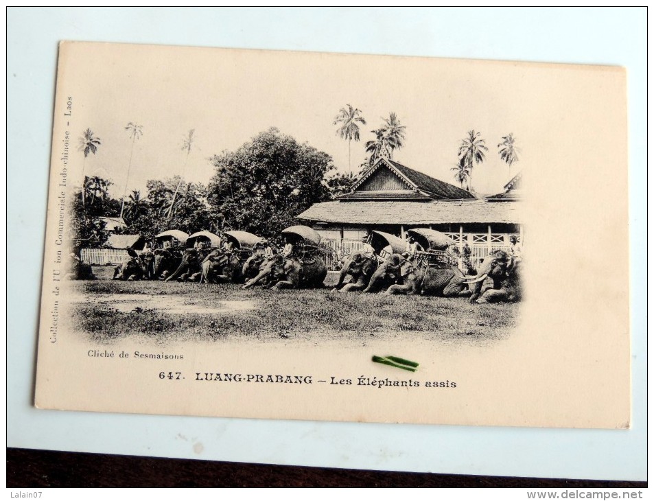 Carte Postale Ancienne : LAOS : LUANG-PRABANG : Les Eléphants Assis - Laos