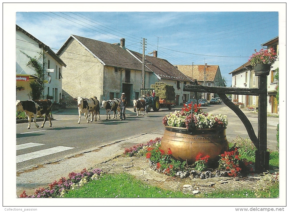 Cp, Franche Comté, Retour Des Pâturages, Chaudron à Fromage, écrite - Franche-Comté