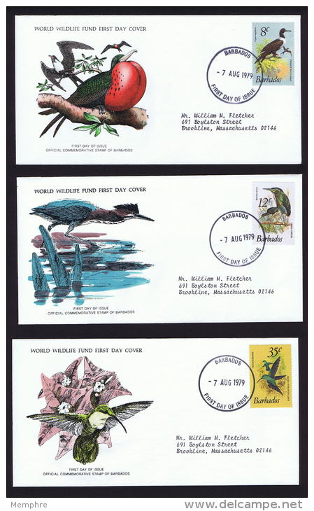 1979  Birds  Series Frigate, Gaulin, Carib  WWF FDCs With Inserts - Barbades (1966-...)