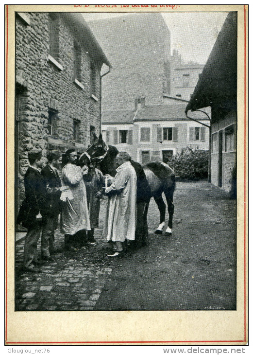 CHROMO 16,5/11,5 CM ...MAISON MALLET AU HAVRE...LE DOCTEUR ROUX..LE SERUM DU CROUP.... - Sonstige & Ohne Zuordnung