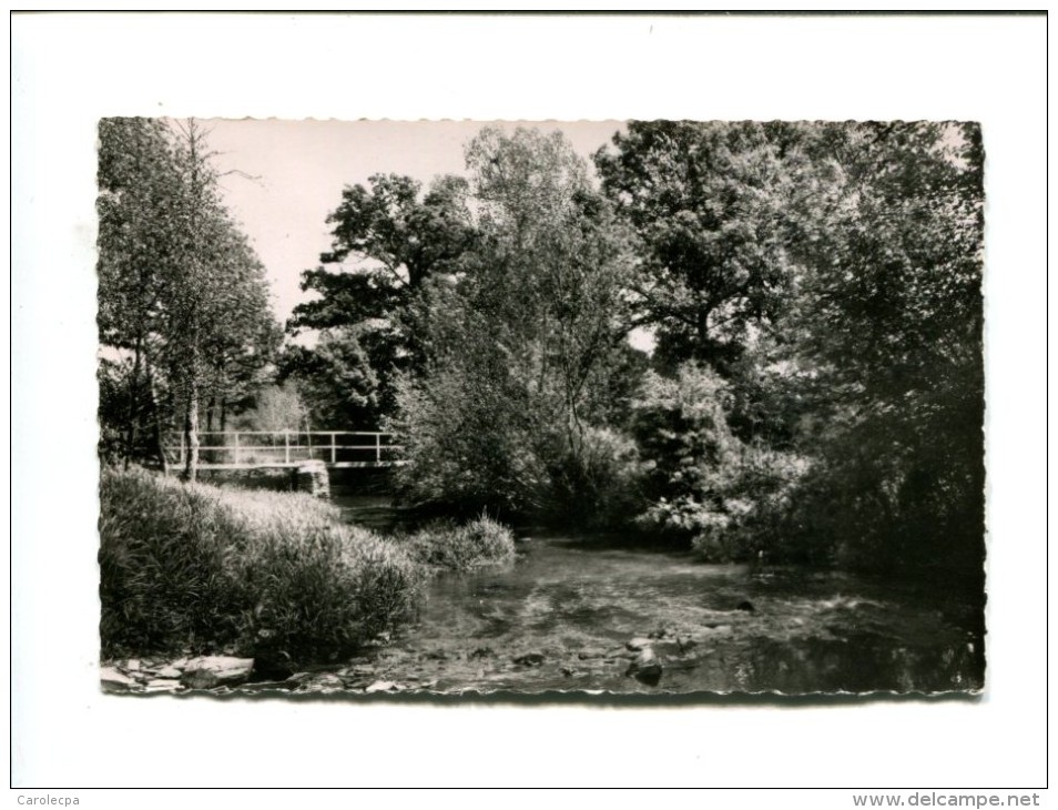 CP - LES CHAPELLES (53) VUE SUR L AISNE - Autres & Non Classés