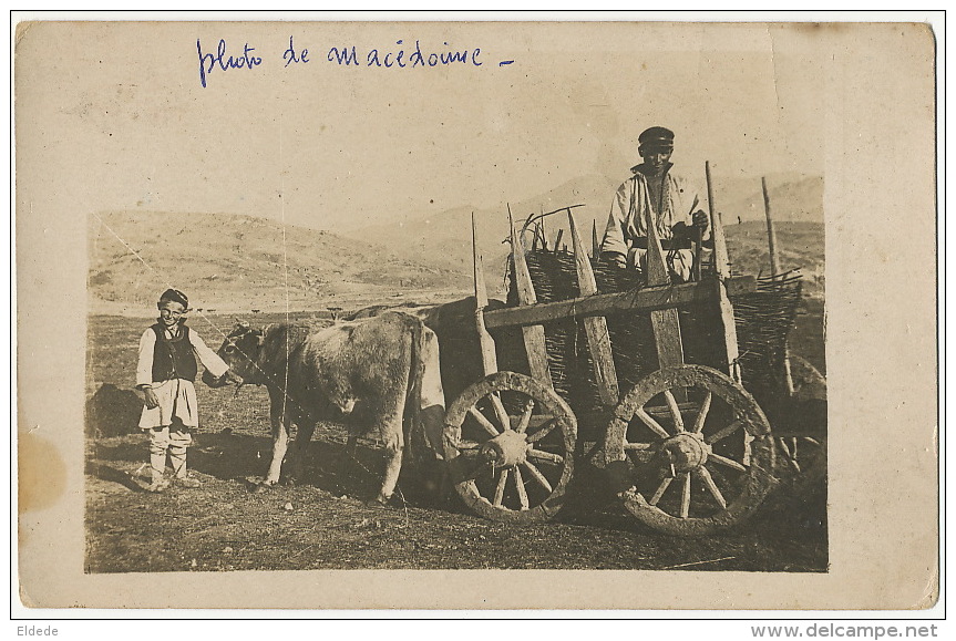 Real Photo Very Curious Ox Cart With Strange Wooden Wheels - Macédoine Du Nord