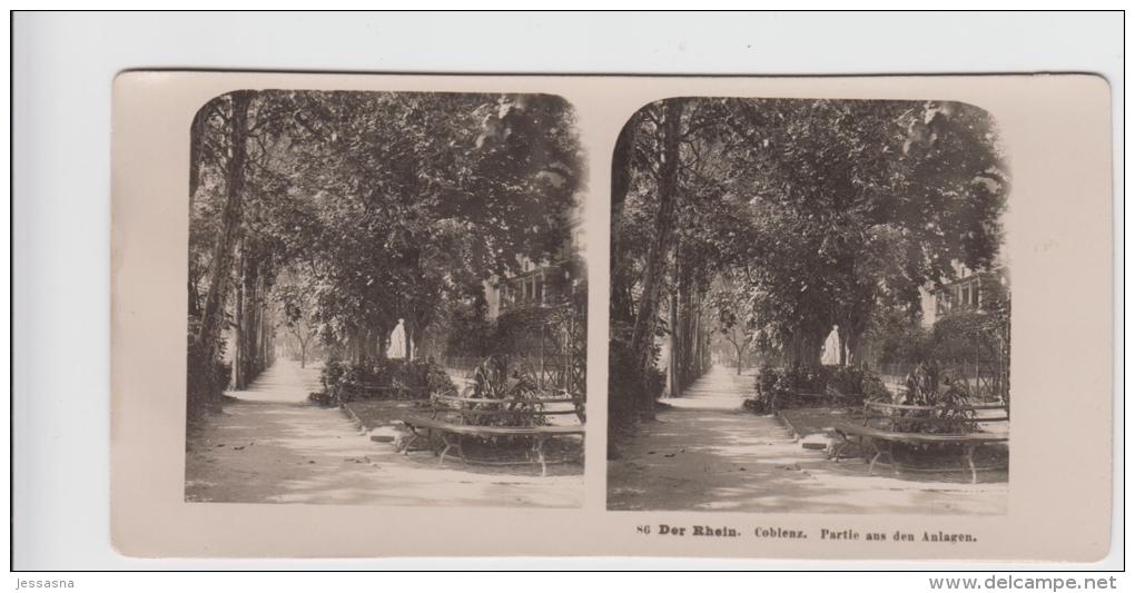 Stereofoto - Der Rhein Coblenz - Partie Aus Den Anlagen 1903 - Stereo-Photographie