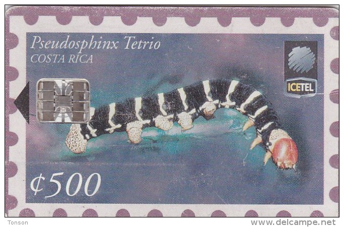 Costa Rica, CRI-C-24, Pseudosphinx Tetrio (1st Edition), 2 Scans. - Costa Rica