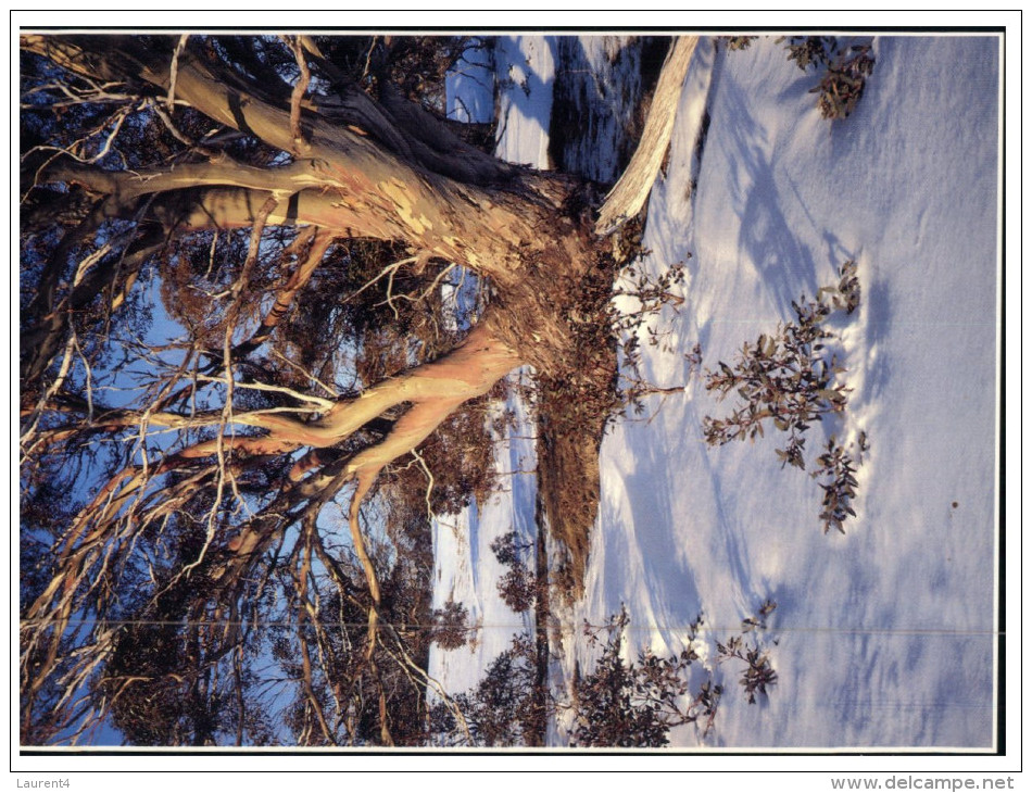 (666) Australia - Winter Scenery - Outback