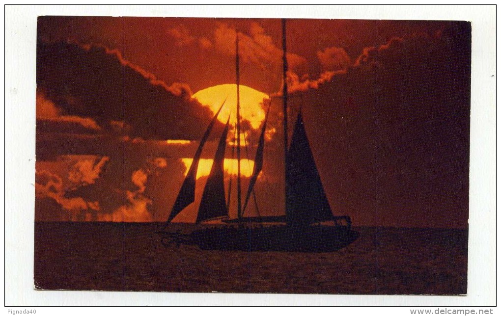 CP , ETATS-UNIS , HAWAI , Beautiful Hawaiian Sunset With Its Golden Sun Catching A Sailboat Passing By - Big Island Of Hawaii