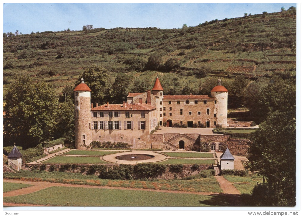 L'auvergne : Château De La Batisse à Chanonat N°192 Lys - Autres & Non Classés